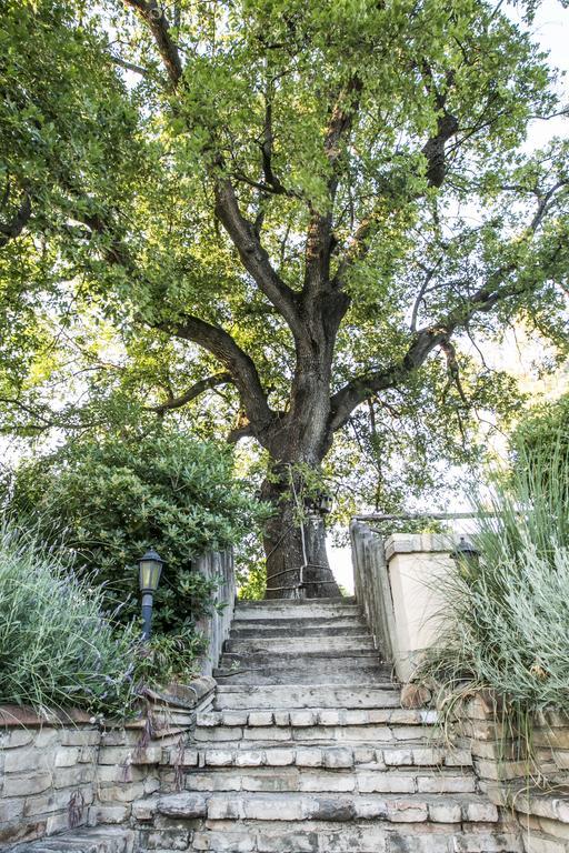 ピネート Agriturismo Col Morino Bed & Breakfast エクステリア 写真