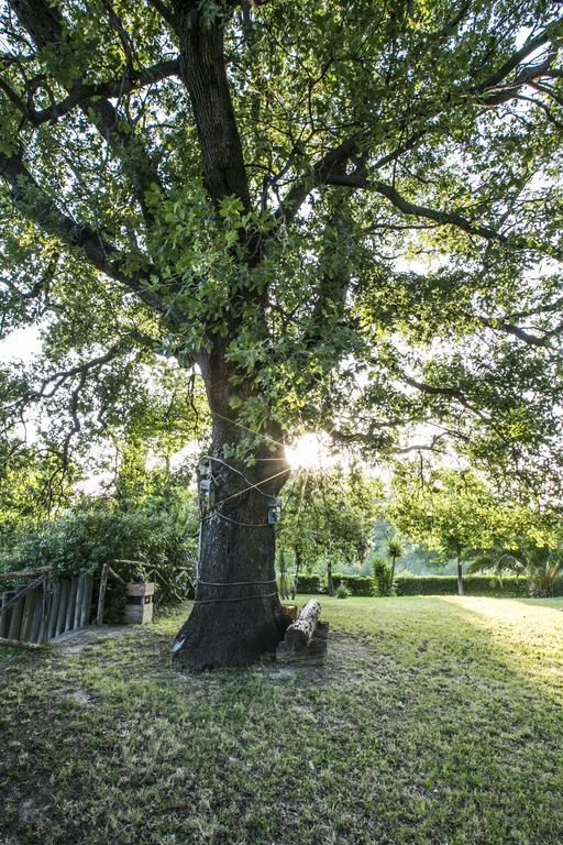 ピネート Agriturismo Col Morino Bed & Breakfast エクステリア 写真